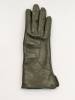 Перчатки женские мод.355р с.1 (р.17 оливковый)
